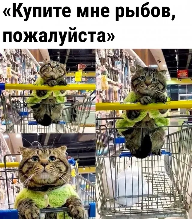 😁 #1