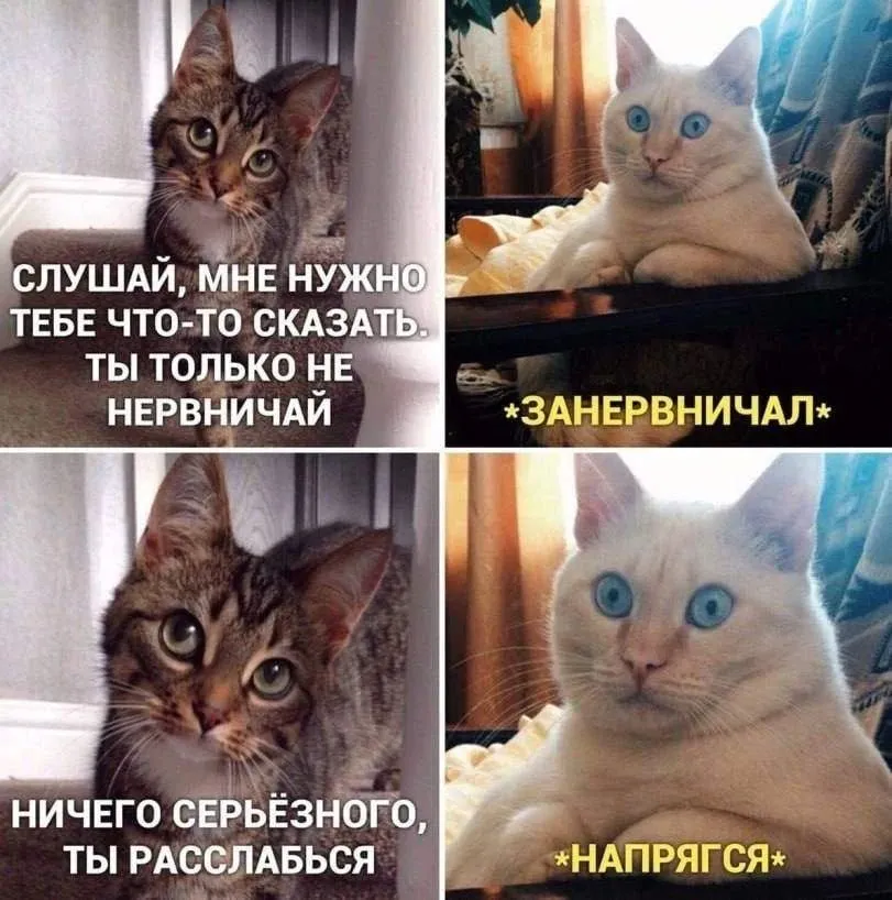 😁 #1