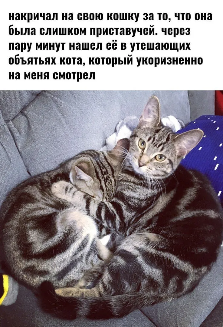 😊 #1