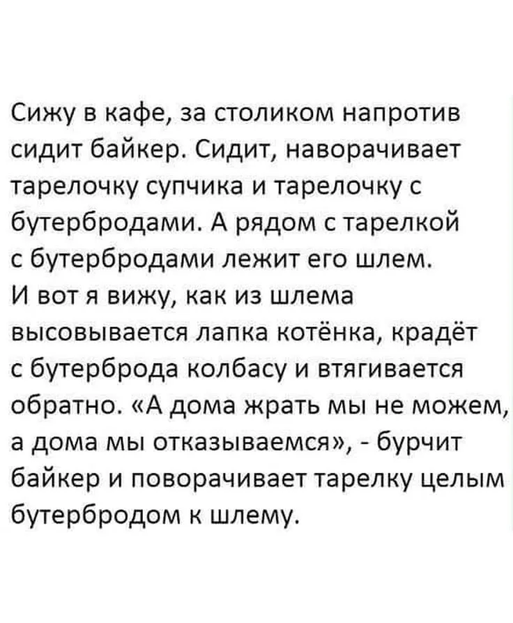 Приветствие пользователя #2