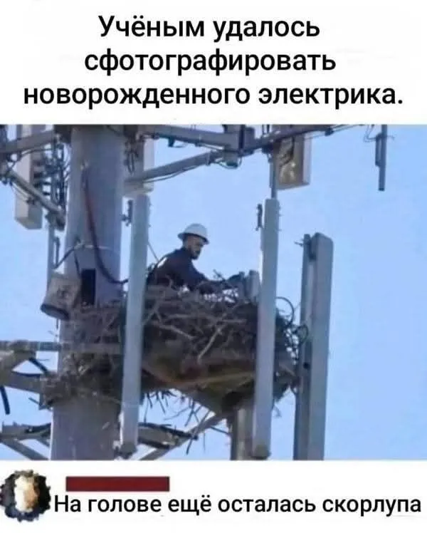 Смех и веселье #2