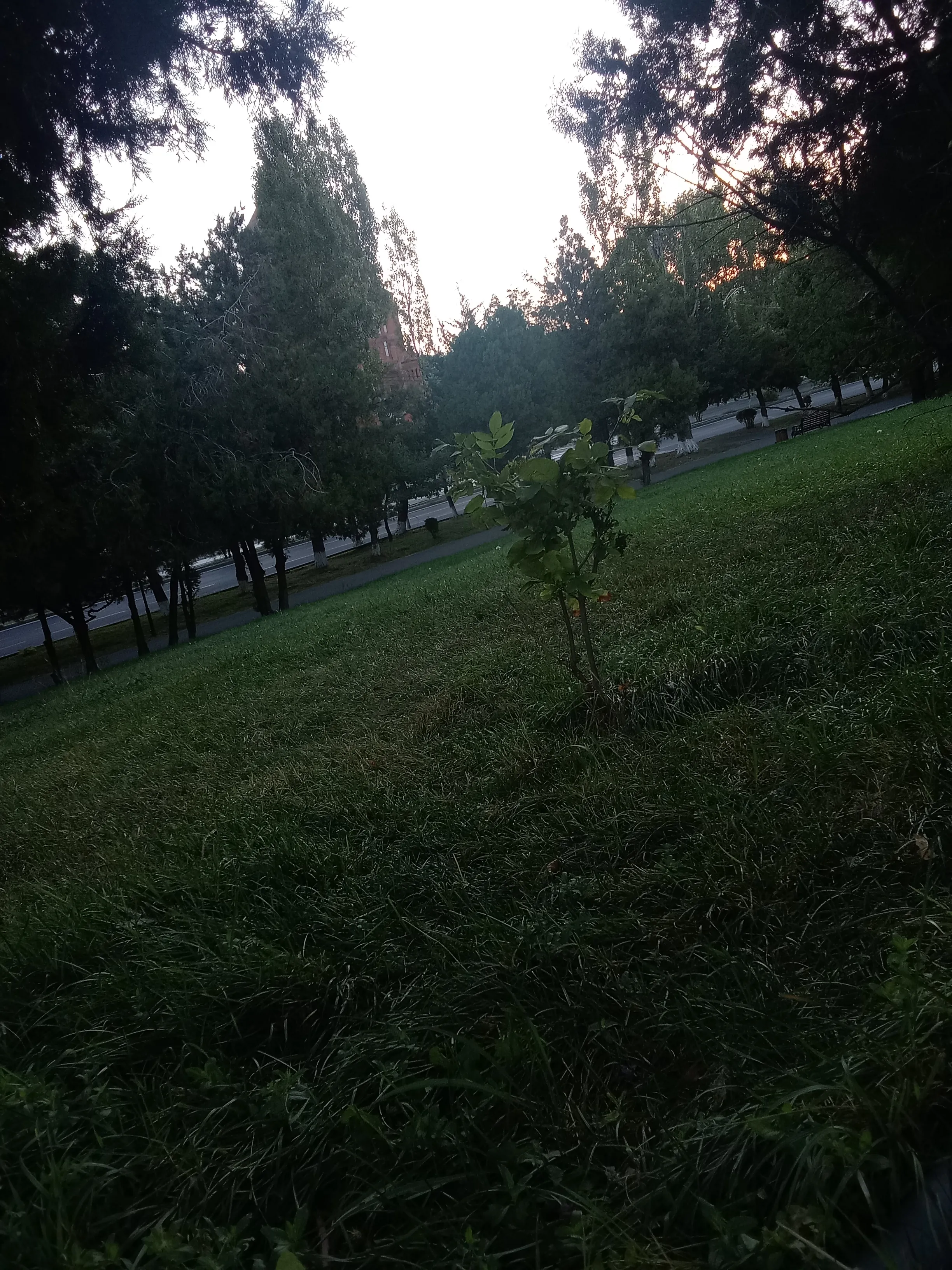 Восхищение прекрасной фотографией #2