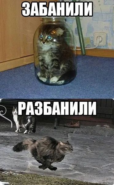 😂 #1