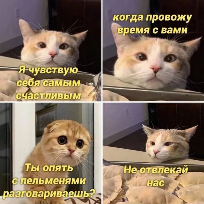 😂 #1