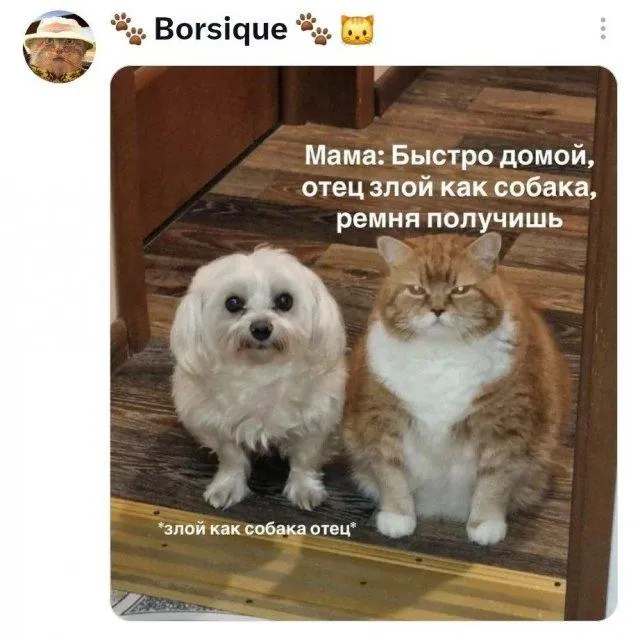 😂 #1