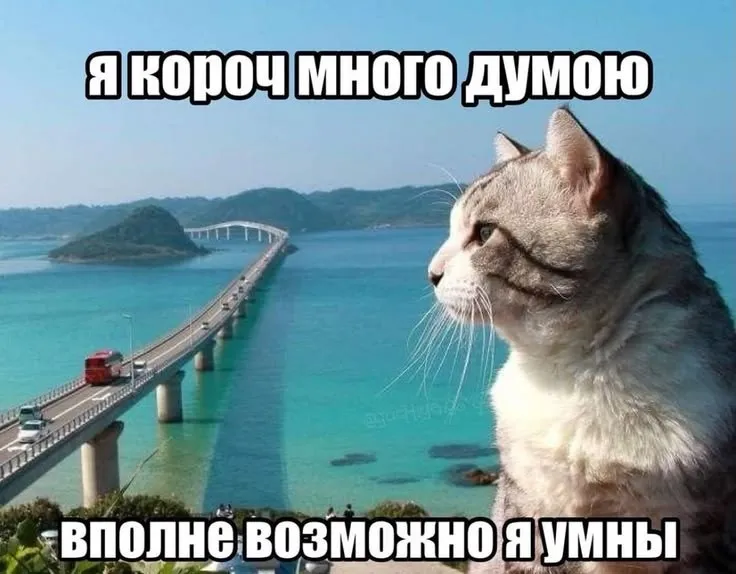 привет?? #1