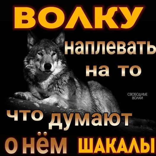 Вираз обурення #2