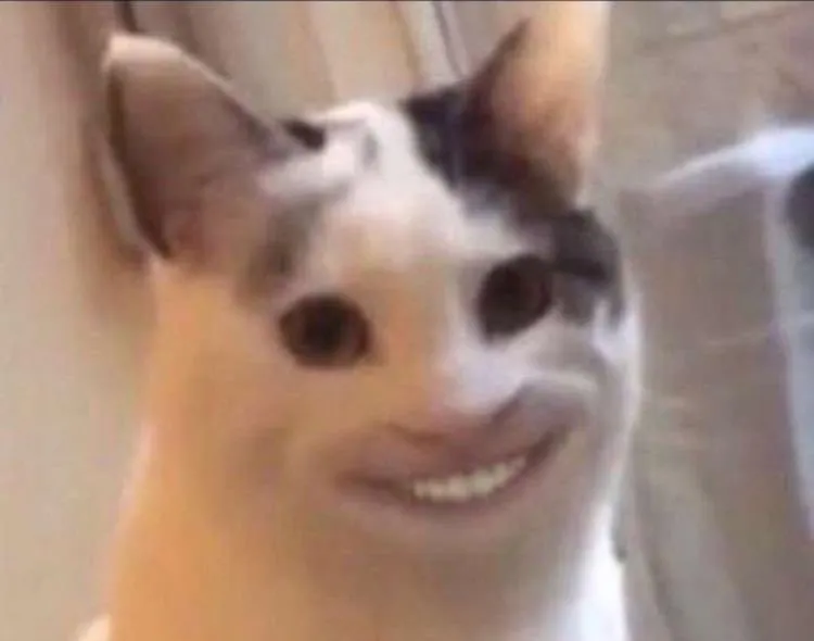 Отзыв на тоскливую музычку! #2