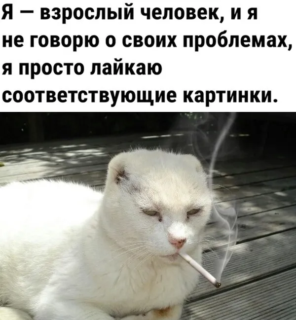 Мемология: LOLcats или Котомемчики #1
