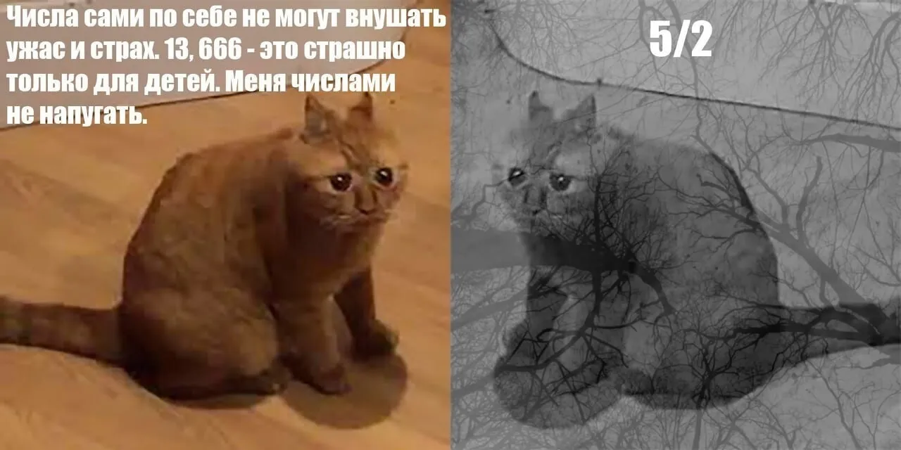 Мемология: LOLcats или Котомемчики #3