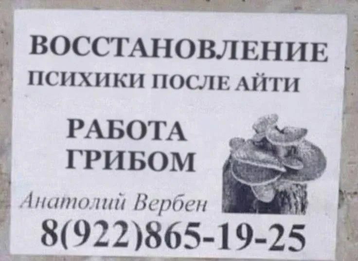 Важные контактики #2