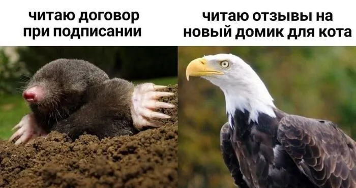 Хи) #1