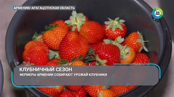 Ожидание/реальность #2