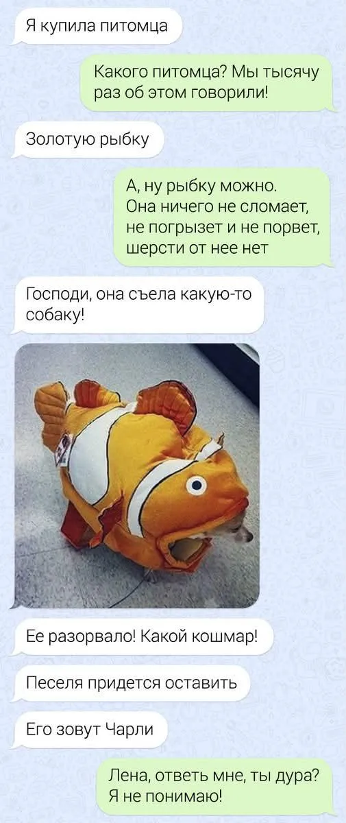 Про золотую рыбку 😁 #1