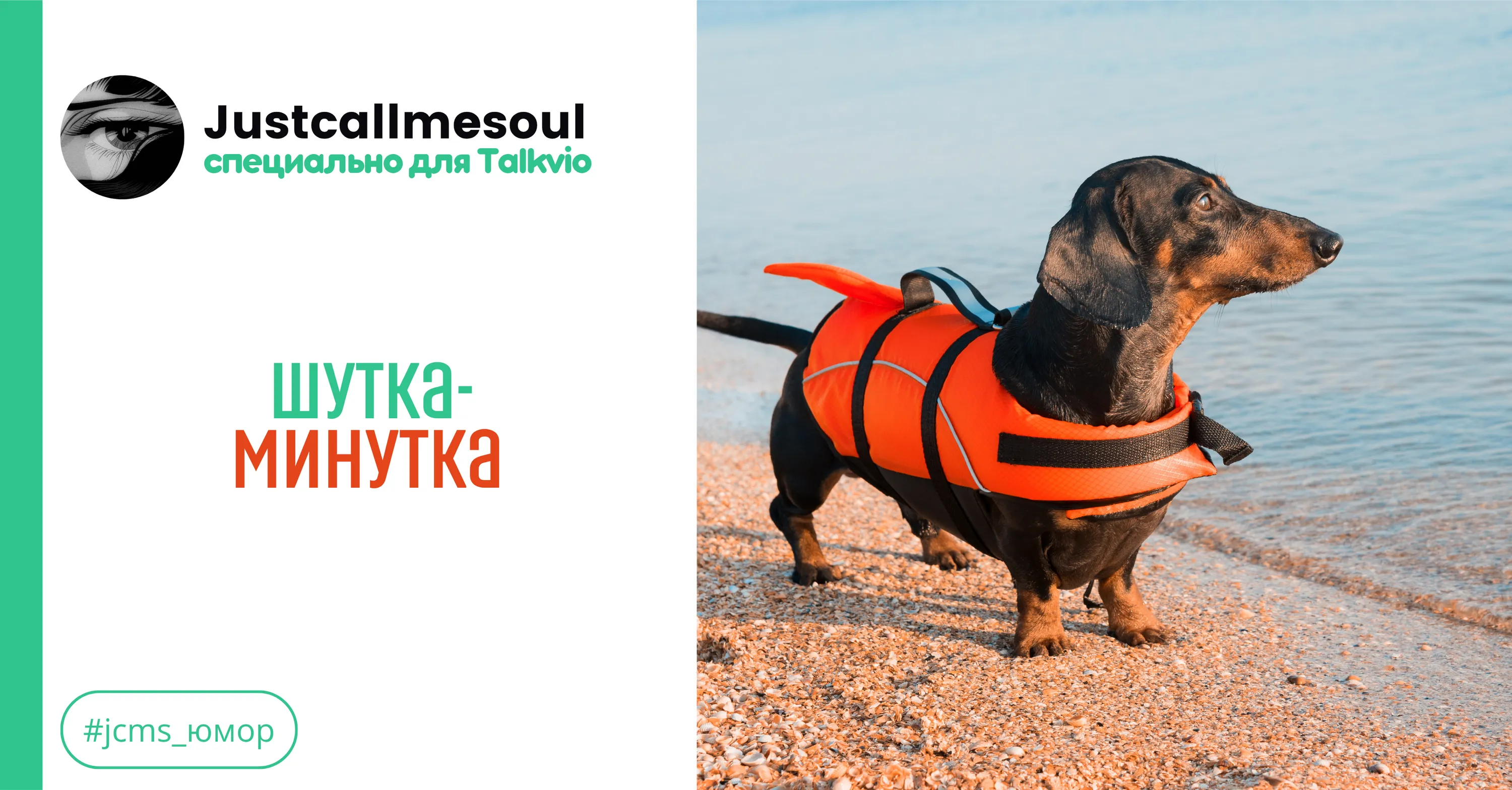 Шутка-минутка #1