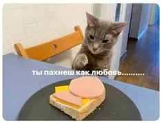 НОЧНОЙ ДОЖОР?😏 #2