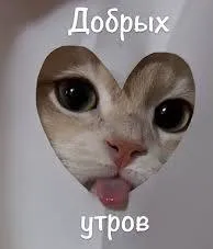 С воскресеньицем всех 😏 #2