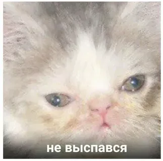 Ужас какой #1