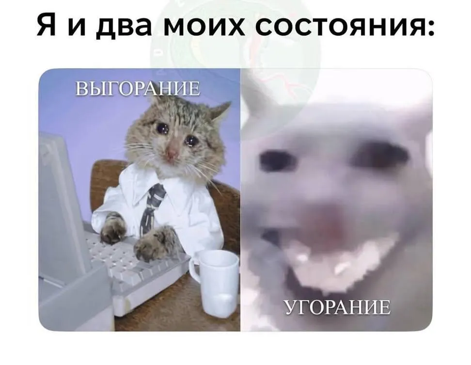 Честное слово! #1