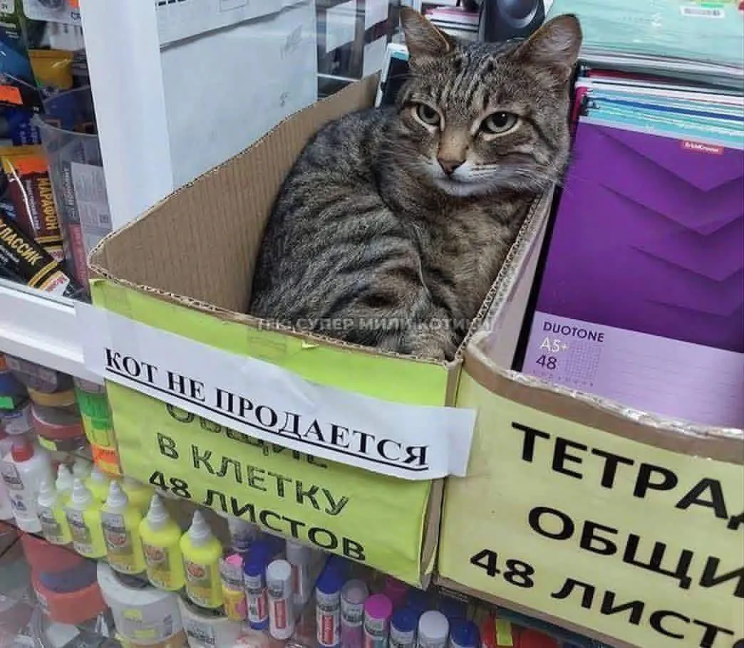  Не то что судьи ваши 🤭 #1