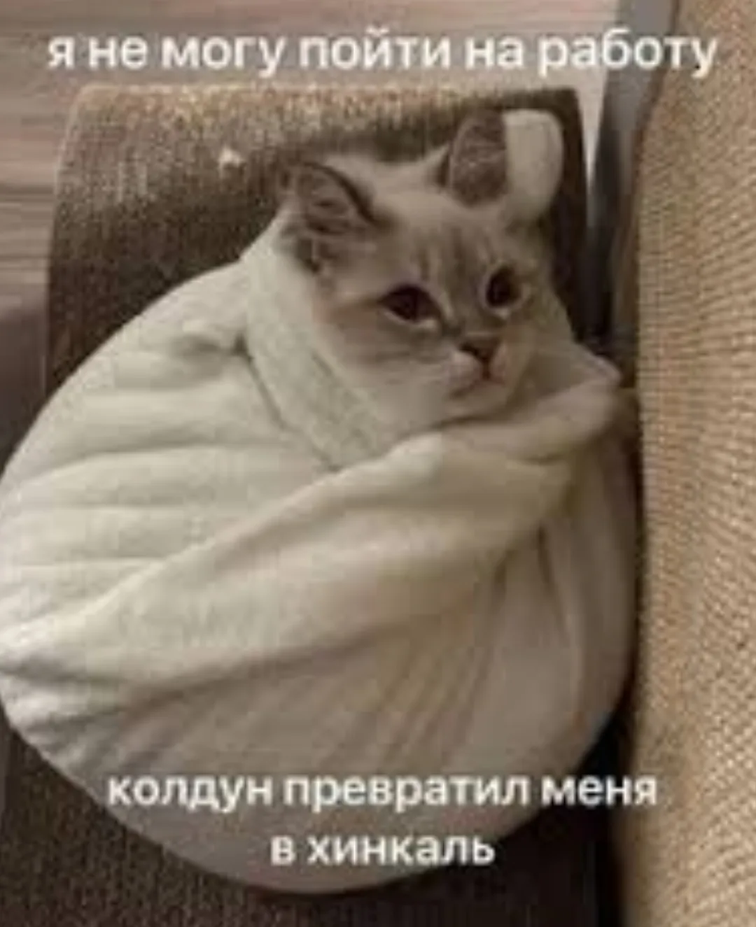 С утром добровым #1