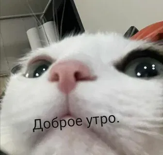 Поздравляю! #1