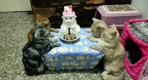 А у нас праздничек! 😎 #2