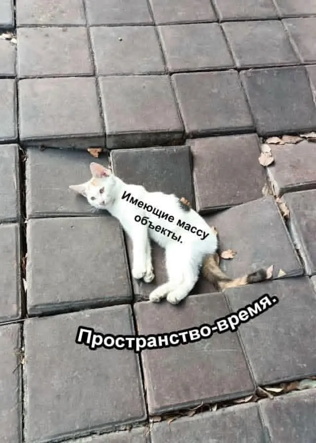 Наука #2