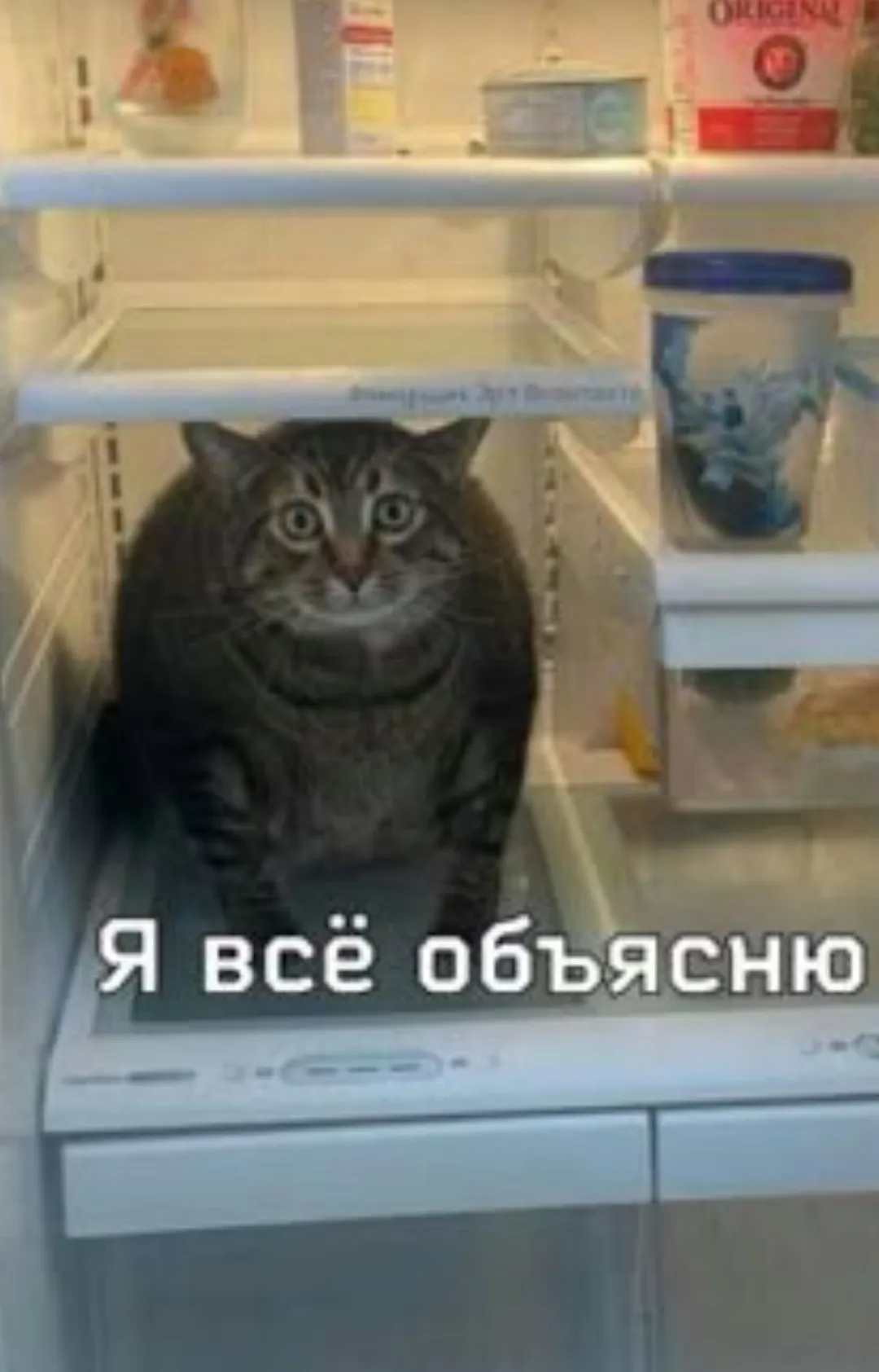 Ночной ДОЖООООР #2