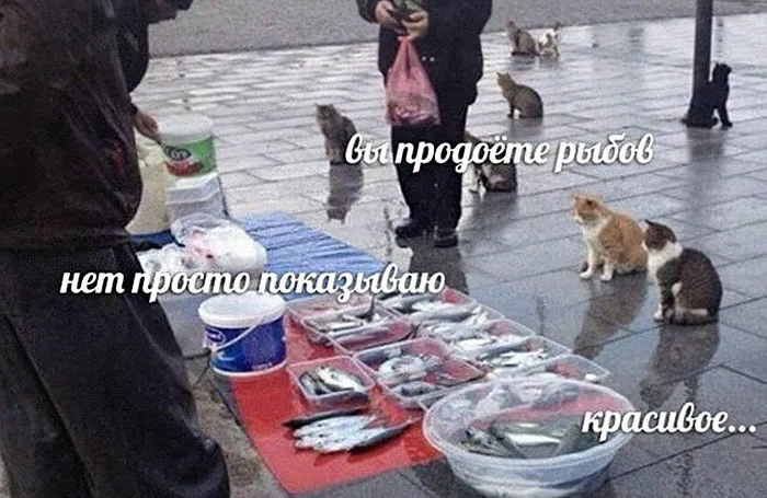 Чисто дед