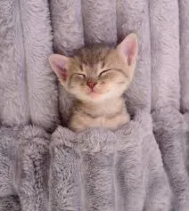 Всем сладких снов! 🥰😘 #2