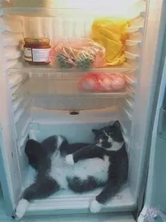 Ночной дожор? #2
