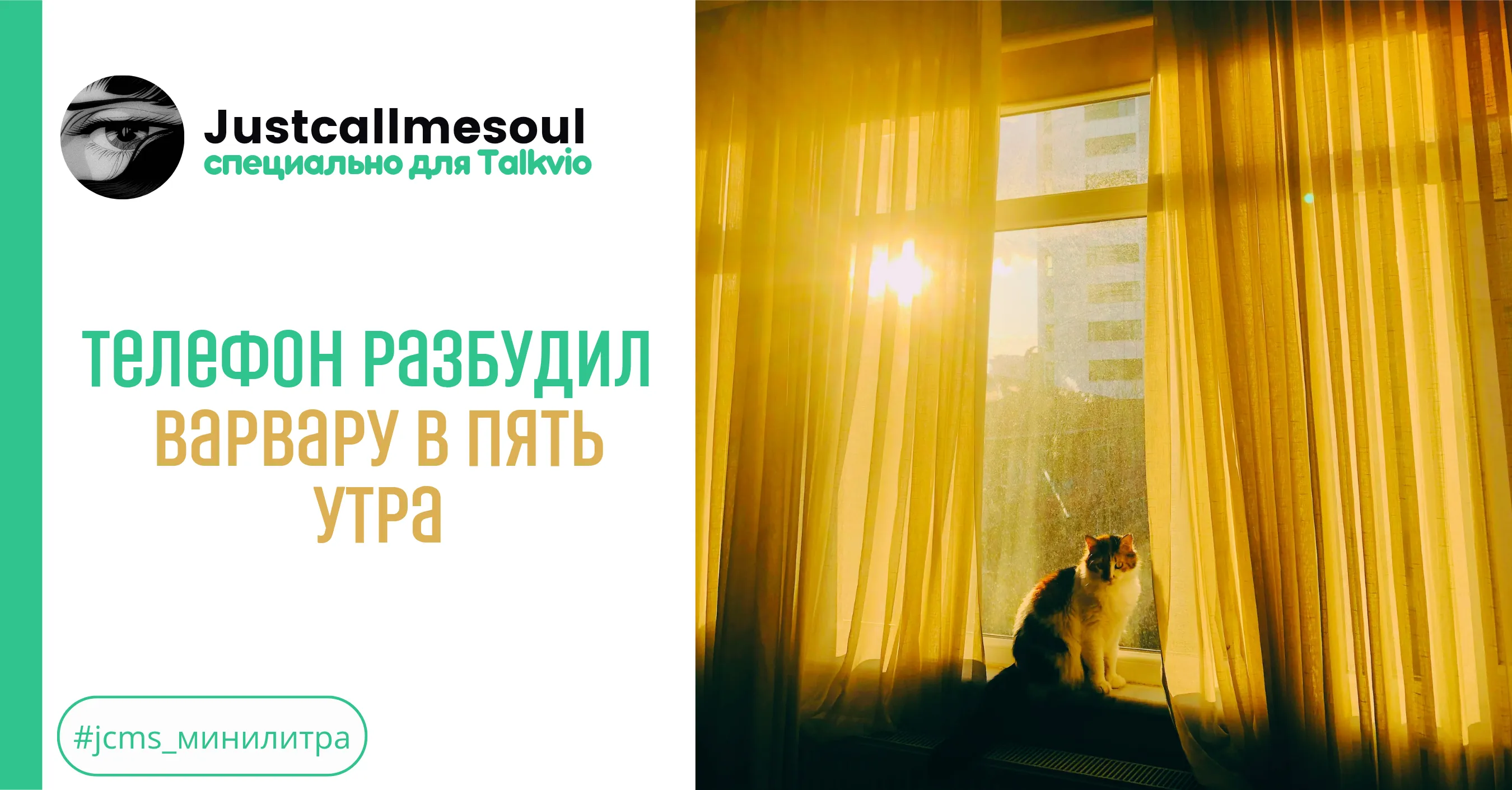 Телефон разбудил Варвару в 5 утра #1
