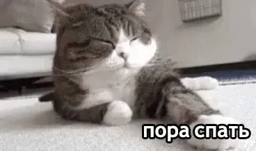 Высплюсенье! #1