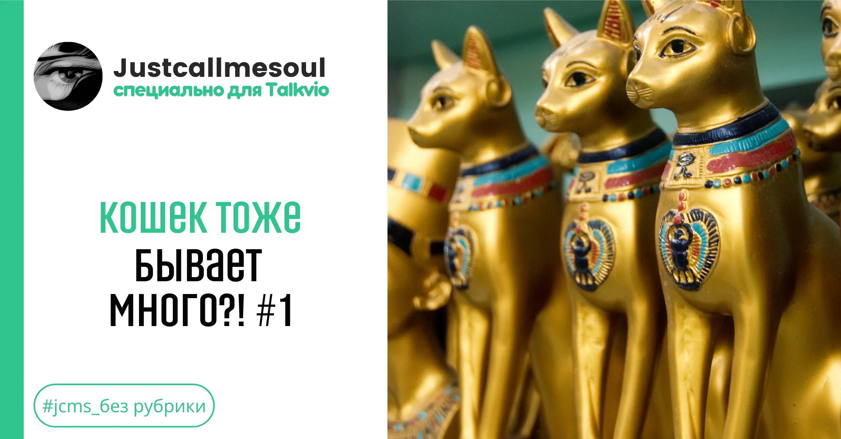 Кошек тоже бывает много?! #1 #1