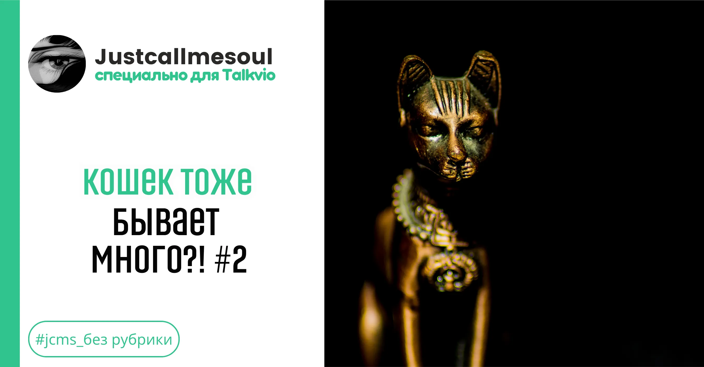 Кошек тоже бывает много?! #2 #1