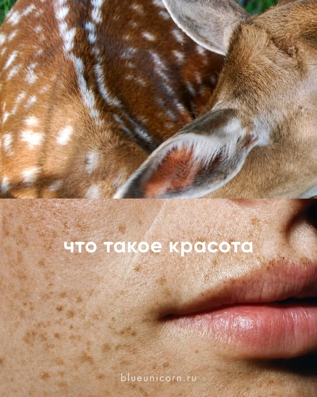 Крутецкая рекламная акция от BlueUnicorn #4