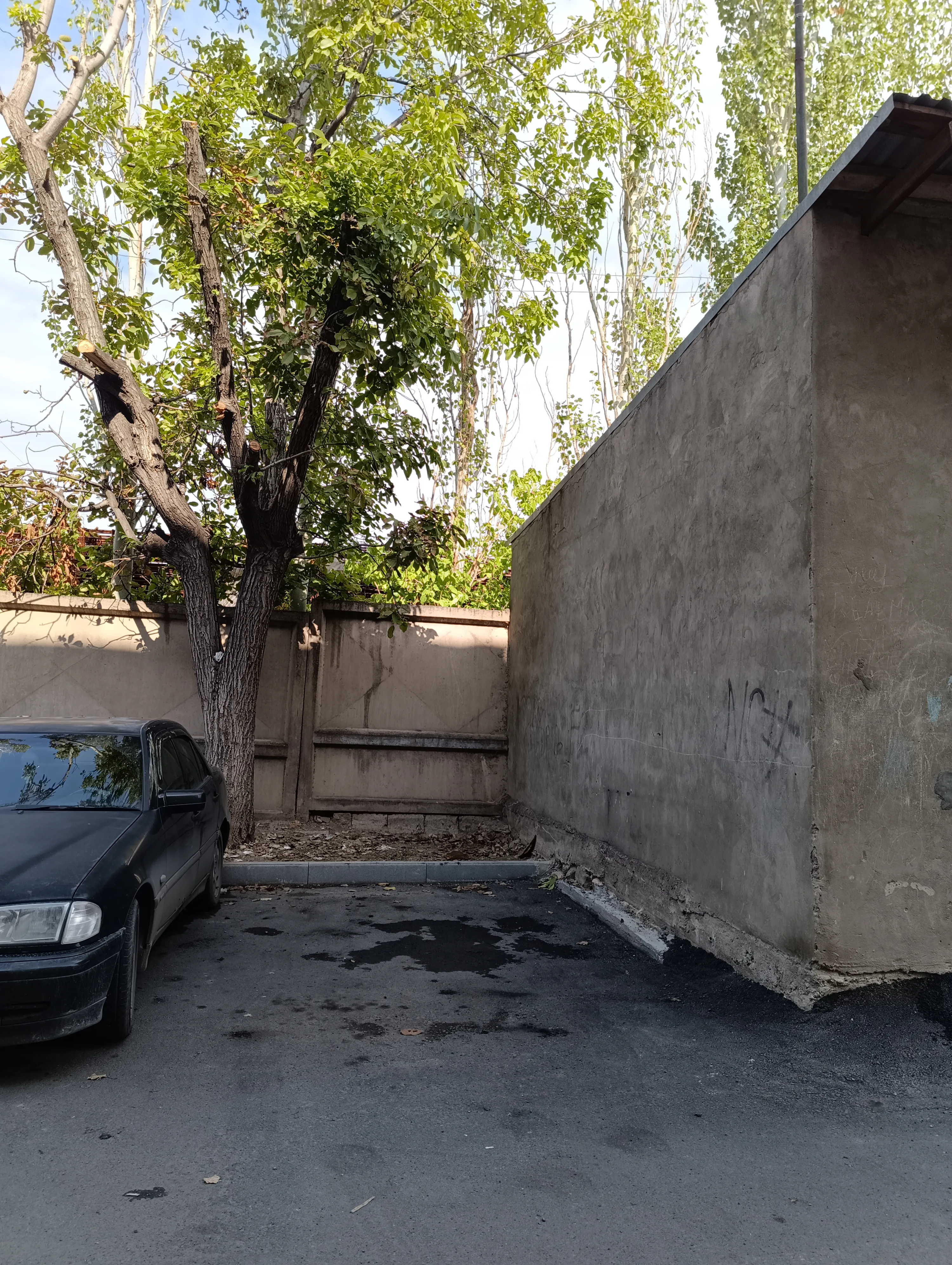 В этом уголочке росло огромное дерево, и прямо рядом была беседка на четверых