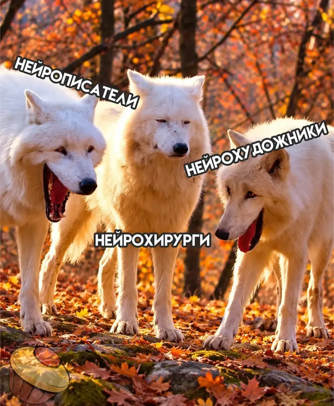 Какой ты волк? 😁 #1