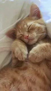 Всем сладких снов! 😘 #1