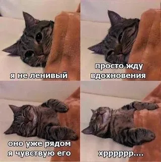 Всем сладких снов! #1