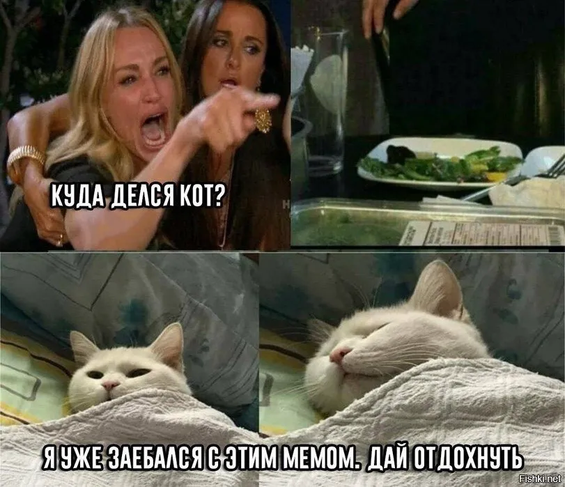 Мемология: Виды восприятия. #2
