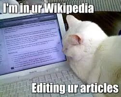 Мемология: LOLcats или Котомемчики #6