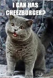 Мемология: LOLcats или Котомемчики #8