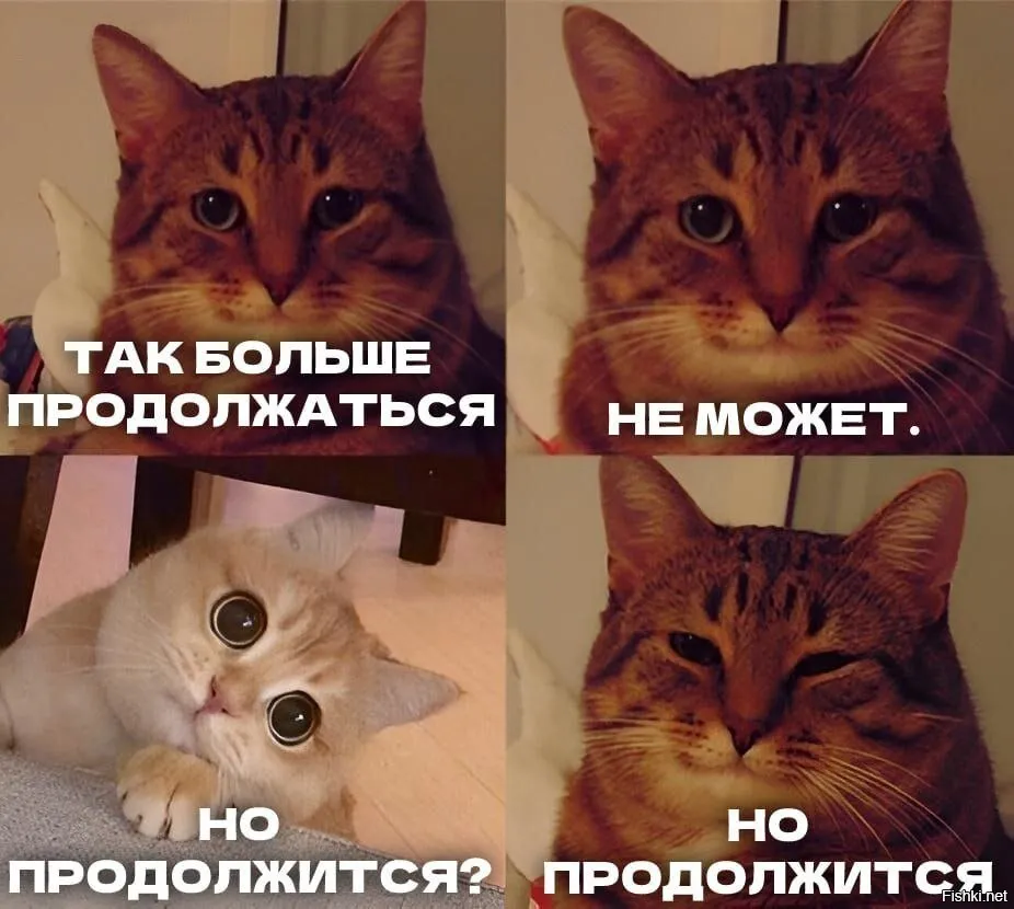 Мемология: Комикс-мем. #5