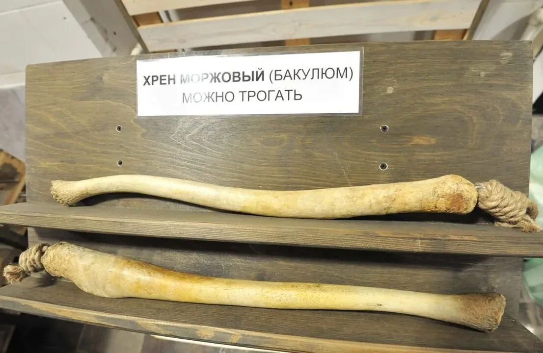 Вот, это для тех, кто не видел прошлый пост!