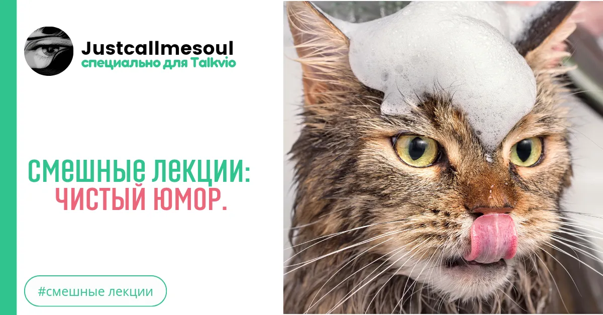Смешные лекции: Чистый юмор. #2