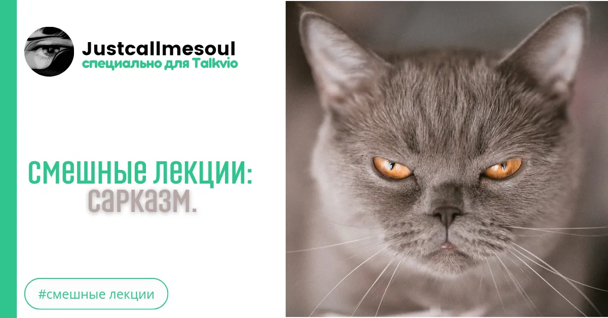 Смешные лекции: Сарказм. #2