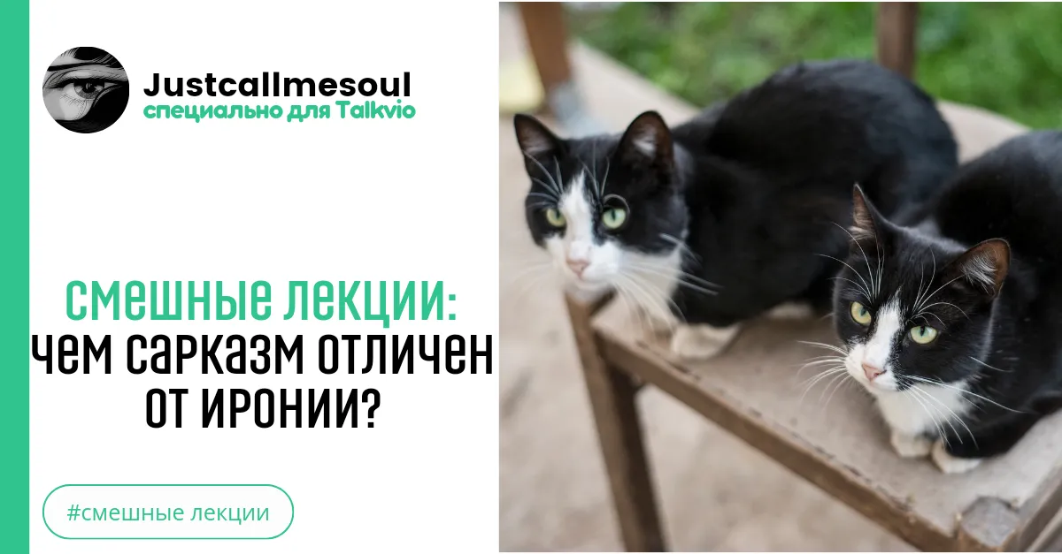 Смешные лекции: Чем сарказм отличен от иронии? #2