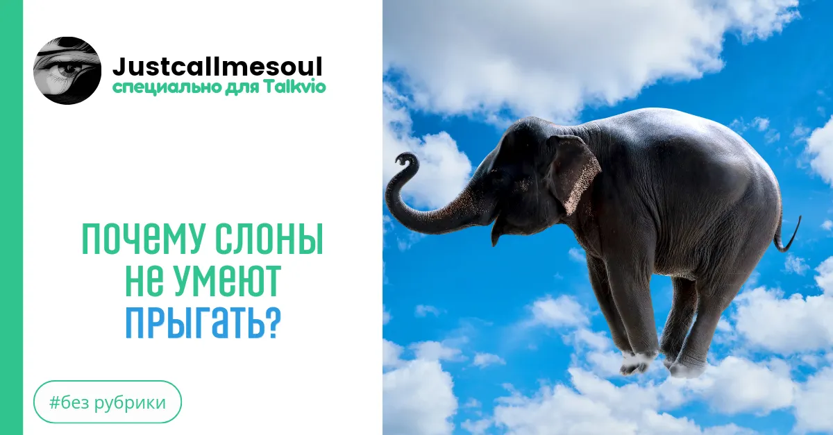 Почему слоны не умеют прыгать? #2